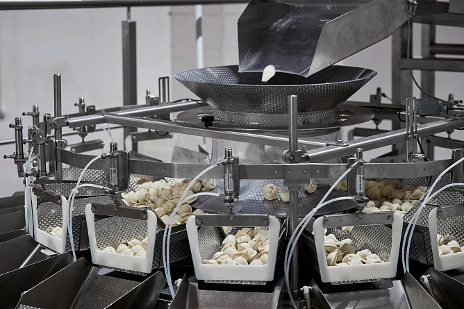 Собственное производство замороженных полуфабрикатов